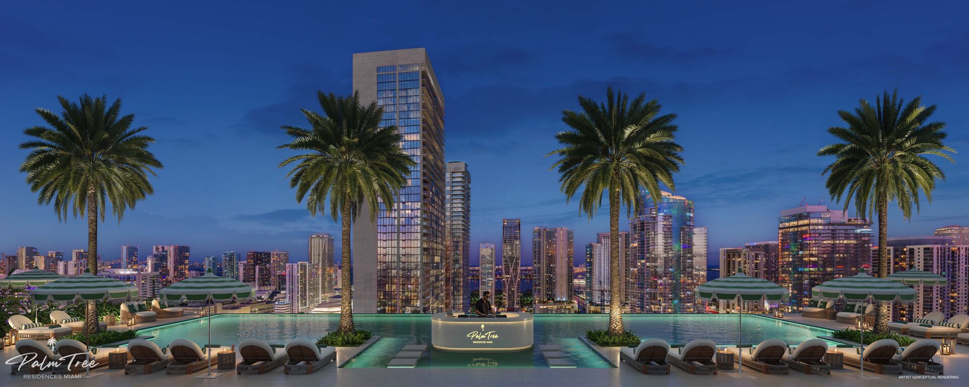 Palm Tree Beach Club rooftop pool deck